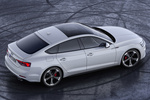 Audi A5 S5 TDI Sportback S5 TDI Sportback Coup&eacute; Blanco Glaciar Exterior Posterior-Lateral-Cenital 5 puertas