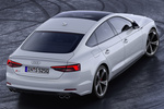 Audi A5 S5 TDI Sportback S5 TDI Sportback Coup&eacute; Blanco Glaciar Exterior Posterior-Lateral-Cenital 5 puertas