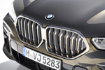 BMW X6 M50i M50i Todo terreno Manhattan metalizado Exterior Parrilla 5 puertas