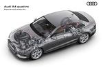 Audi A4 A4 berlina A4 berlina Turismo T&eacute;cnica Sistema de tracci&oacute;n total 4 puertas