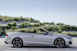 Audi A5 Gama A5 Cabriolet Cabriolet S line Descapotable Plata Florete metalizado Exterior Lateral 2 puertas