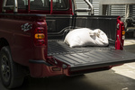 Mahindra Goa D 140 S10 Pick up Rojo Rage Exterior Caja 4 puertas