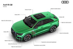Audi Q8 RS Q8 RS Q8 Todo terreno T&eacute;cnica sistema de conducci&oacute;n autom&aacute;tica en atascos 5 puertas