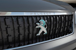 Peugeot Traveller e-Traveller Business VIP Veh&iacute;culo comercial Exterior Parrilla