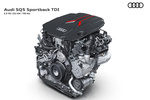 Audi Q5 SQ5 Sportback TDI quattro SQ5 Sportback Todo terreno T&eacute;cnica Motor 5 puertas