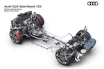 Audi Q5 SQ5 Sportback TDI quattro SQ5 Sportback Todo terreno T&eacute;cnica Sistema h&iacute;brido 5 puertas