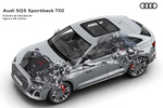 Audi Q5 SQ5 Sportback TDI quattro SQ5 Sportback Todo terreno T&eacute;cnica Sistema h&iacute;brido 5 puertas