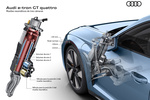 Audi e-tron GT e-tron GT quattro e-tron GT quattro Turismo T&eacute;cnica Muelles neum&aacute;ticos 4 puertas
