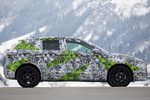 Skoda Fabia Camuflado Camuflado Turismo Camuflado Exterior Lateral 5 puertas
