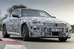 BMW Serie 2 Coup&eacute; Camuflado Coup&eacute; Camuflado Coup&eacute; Exterior Lateral-Frontal 2 puertas