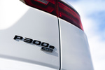 Jaguar E-PACE P300e R-Dynamic PHEV Todo terreno Yulong White Exterior Detalle 5 puertas