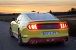 Ford Mustang Mach 1 Mach 1 Coup&eacute; Amarillo Grabber Exterior Posterior 2 puertas