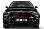 BMW X5 M50i M Sport Black Vermilion Todo terreno BMW Individual Frozen Black Metallic Exterior Frontal 5 puertas