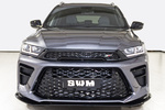 SWM G01 Gama G01 F Gama G01 F Todo terreno Gris Exterior Frontal 5 puertas