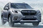 Subaru Forester Gama Forester MHEV Gama Forester MHEV Todo terreno Magnetite Grey Metallic Exterior Lateral-Frontal 5 puertas
