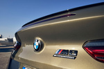 BMW Serie 8 M8 Competition Cabrio M8 Competition Cabrio Descapotable Exterior Detalle 2 puertas