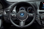BMW X2 xDrive25e Edition GoldPlay xDrive25e Todo terreno Interior Volante 5 puertas