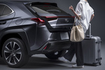 Lexus UX Gama UX F Sport Todo terreno Exterior Maletero 5 puertas