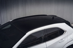 Lexus UX Gama UX F Sport Todo terreno Exterior Techo 5 puertas