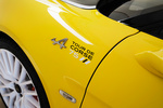 Alpine A110 A110 Tour de Corse 75 A110 Tour de Corse 75 Coup&eacute; Exterior Detalle 2 puertas