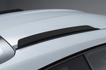 Porsche 911 GT3 RS GT3 RS Coup&eacute; Exterior Detalle 2 puertas