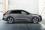 Audi Q8 50 e-tron quattro e-tron S line con Paquete Black  Todo terreno Gris cronos Exterior Lateral 5 puertas