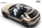 Audi Q8 Gama Q8 Gama Q8 Todo terreno T&eacute;cnica Airbags 5 puertas