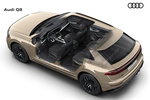 Audi Q8 Gama Q8 Gama Q8 Todo terreno T&eacute;cnica Esquema 5 puertas