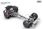 Audi Q8 SQ8 SQ8 Todo terreno T&eacute;cnica Esquema 5 puertas