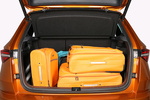 Skoda Karoq 1.5 TSI 110 kW (150 CV) DSG Sportline Todo terreno Interior Maletero 5 puertas