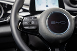 BYD Dolphin Gama Dolphin Design con interior Black + Grey Turismo Interior Volante 5 puertas