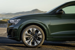 Audi Q8 Gama Q8 Black line Todo terreno Goodwoodgreen Pearl Effect Exterior Llanta 5 puertas