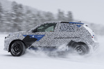 Alpine A290 Camuflado Camuflado Turismo Exterior Lateral 5 puertas