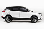 EVO 5 Gama 5 Gama 5 Todo terreno Exterior Lateral 5 puertas