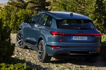 Audi Q6 Q6 e-tron quattro Black line Todo terreno Azul Plasma Exterior Lateral-Posterior 5 puertas
