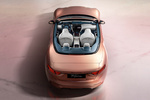 Maserati GranCabrio Folgore Folgore Descapotable Rose Gold Exterior Posterior-Cenital 2 puertas
