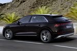 Audi Q8 Gama Q8 TFSIe quattro Gama Q8 TFSIe quattro Todo terreno Exterior Lateral-Posterior 5 puertas