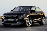Audi Q8 Gama Q8 TFSIe quattro Gama Q8 TFSIe quattro Todo terreno Exterior Frontal-Lateral 5 puertas