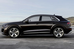 Audi Q8 Gama Q8 TFSIe quattro Gama Q8 TFSIe quattro Todo terreno Exterior Lateral 5 puertas