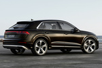 Audi Q8 Gama Q8 TFSIe quattro Gama Q8 TFSIe quattro Todo terreno Exterior Posterior-Lateral 5 puertas