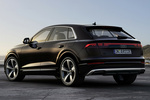Audi Q8 Gama Q8 TFSIe quattro Gama Q8 TFSIe quattro Todo terreno Exterior Lateral-Posterior 5 puertas