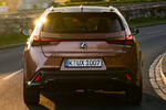 Lexus UX 300h AWD F Sport+ 300h AWD Todo terreno Sonic Copper Bitono Exterior Posterior 5 puertas