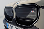 BMW X3 M50 xDrive M50 xDrive Todo terreno Dune Grey Metalizado Exterior Detalle 5 puertas