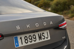 Skoda Superb L&K DSG 4x4 L&K Turismo Gris grafito metalizado Exterior Posterior 5 puertas