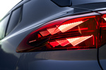 CUPRA Terramar VZ 2.0 TSI 195 KW (265 CV) DSG 4Drive VZ Todo terreno Tayga Grey Exterior Pilotos 5 puertas