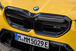 BMW Serie 5 M5 M5 Turismo Speed Yellow Exterior Frontal 5 puertas