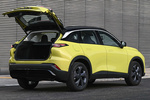 BAIC X55 Gama X55 Gama X55 Todo terreno Interior Maletero 5 puertas