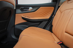BAIC X75 Gama X75 Gama X75 Todo terreno Interior Puerta 5 puertas