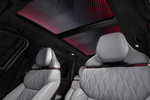 Audi Q9 Gama Q9 Gama Q9 Todo terreno Interior Techo solar 5 puertas
